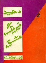 د حمید نیرنګ عشق / عبدالحمید مومند — cover