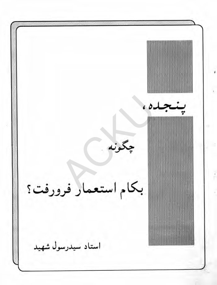 Panjdeh Chiguna Ba Kaam e Iste'mar Furu Raft? - Ustad Sayyid Rasool Shaheed (Farsi) — cover