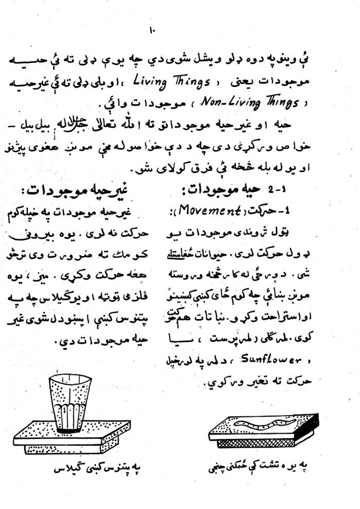 ساینس = Science[دساین ورځنی زده کړی] / مولف عبدالحزیز نصیری ؛ مصحح عبدالحی ګداخیل — cover