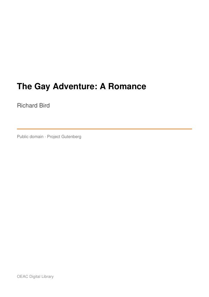 The Gay Adventure: A Romance — cover