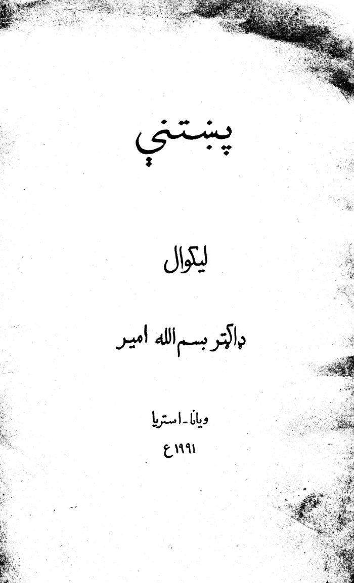 پښتنې / لیکوال بسم الله امیر cover