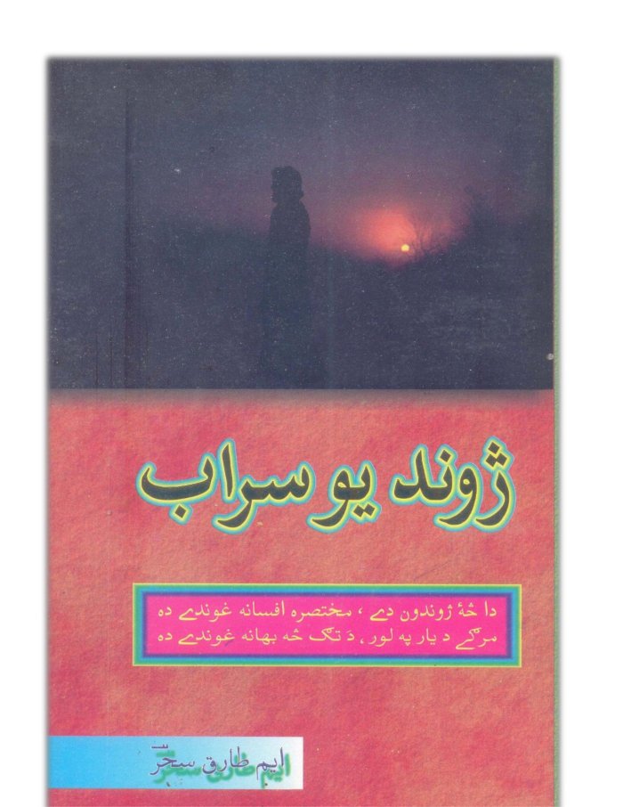 Jund Yo Sarab ژوند یو سراب by Muhammad Tariq Sahar cover