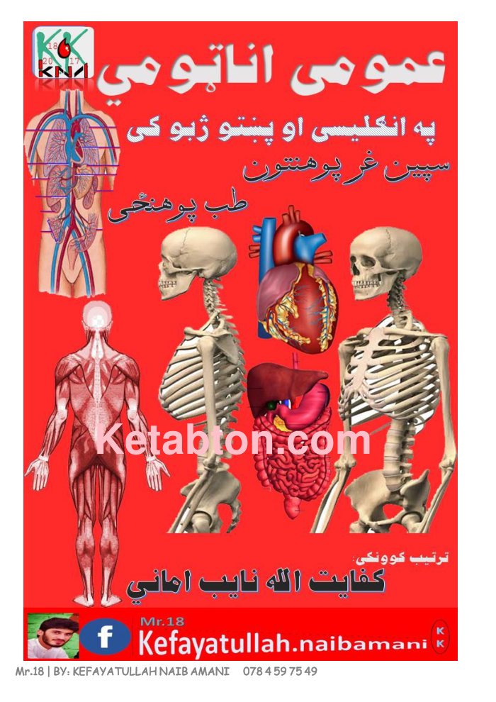 اناټومي cover