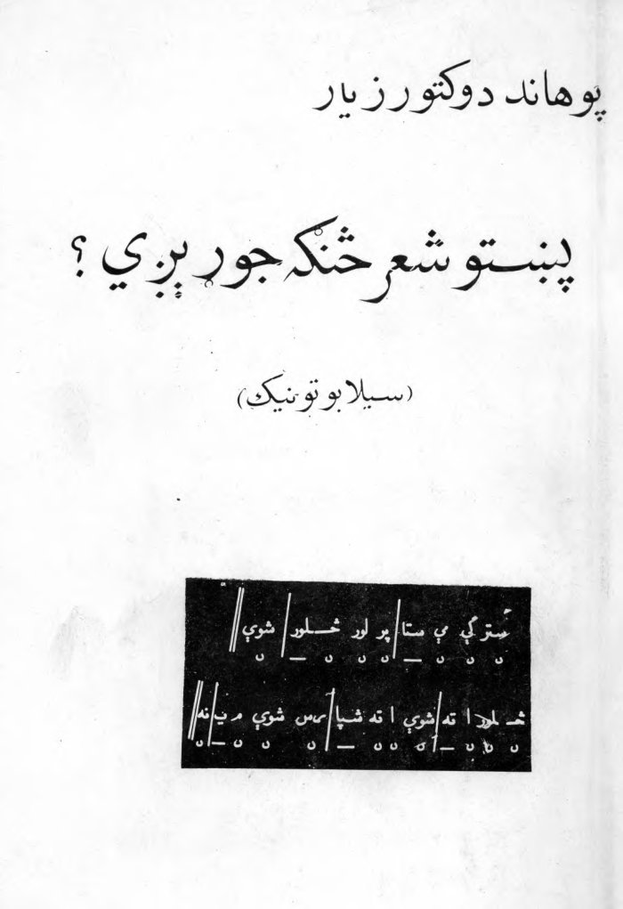 پښتو بد لمیچ : پښتو شعر څنګه جوړیږی؟ (څپیز-خجیز) cover